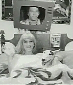 mojonixon-clip-017.JPG