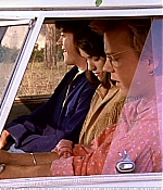 1969_280.jpg