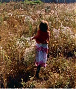 1969_494.jpg