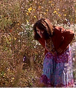 1969_496.jpg