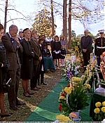 1969_556.jpg
