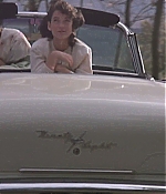 screencaptures-0262.jpg