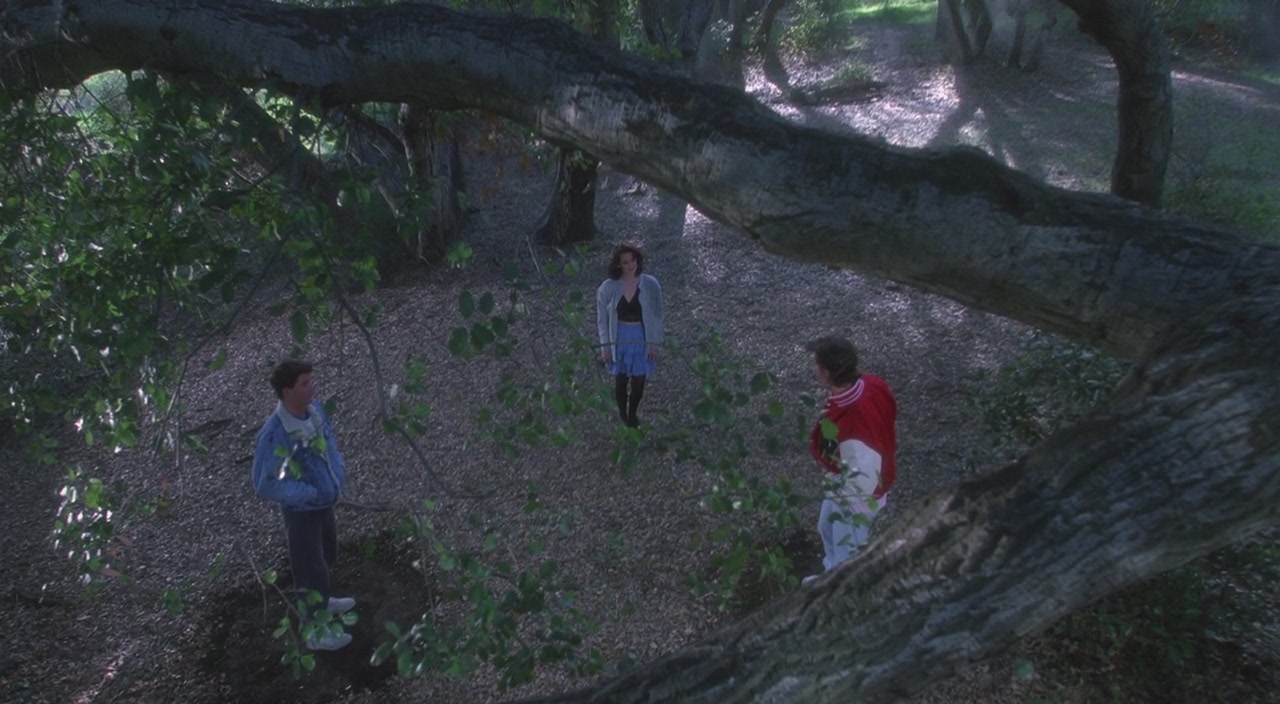 heathers_0751.jpg heathers_0751.jpg