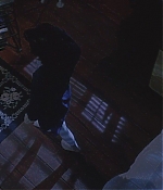 heathers_1178.jpg