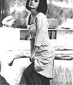 05.jpg