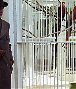 theageofinnocence-0156.jpg