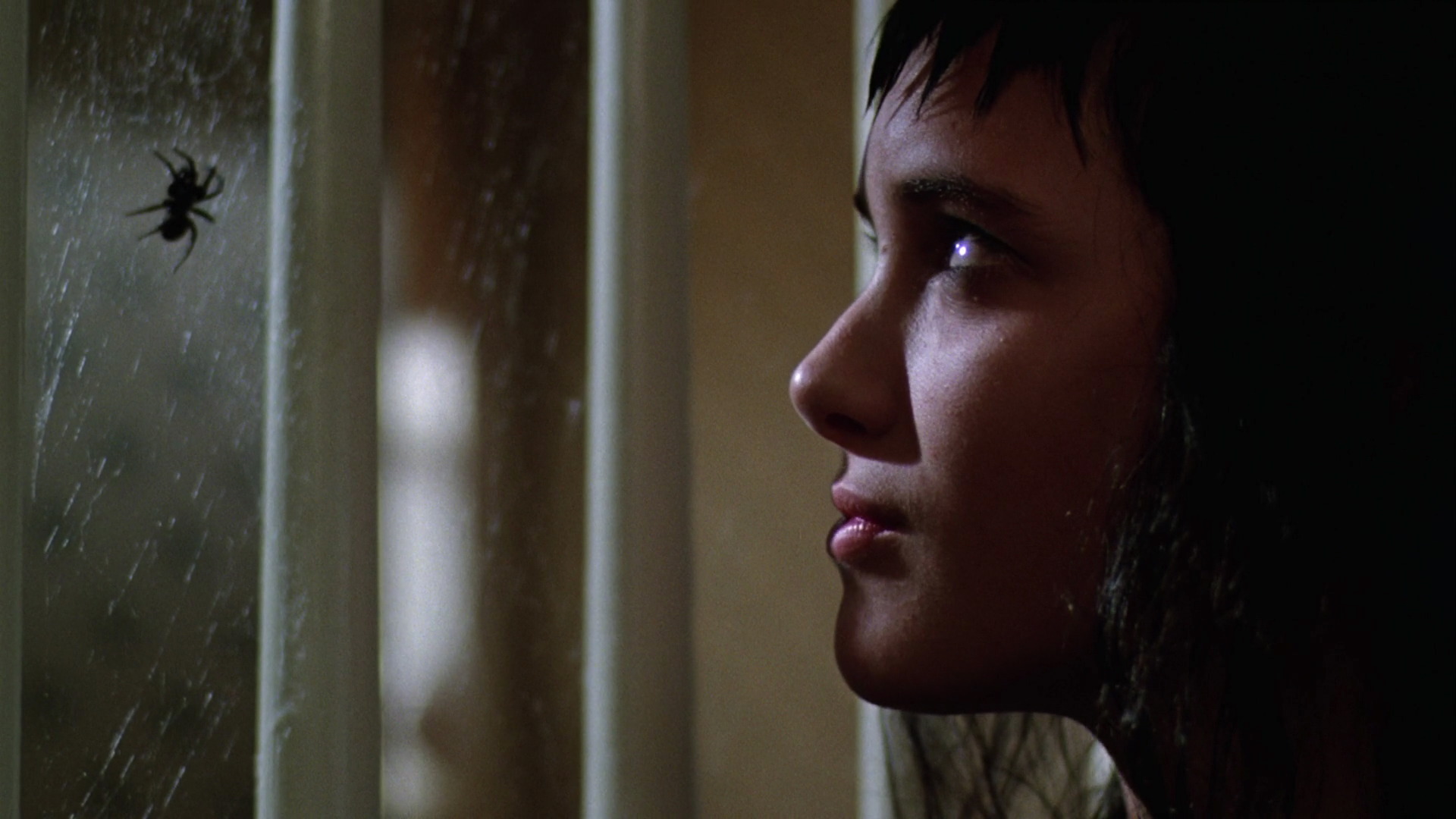 screencaptures-0016.jpg