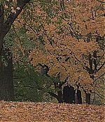 AutuminNewYork-Screencaptures_0326.JPG