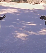 thedarwinawards-0191.jpg