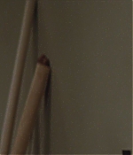 the-last-word-HD_795.jpg