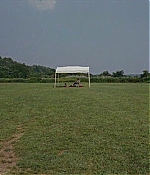 theten_010.JPG