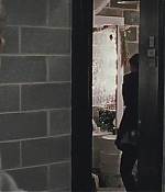 blackswan_004.jpg