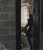 blackswan_006.jpg