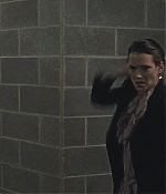 blackswan_014.jpg