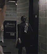 blackswan_017.jpg