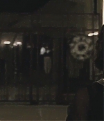 blackswan_089.jpg