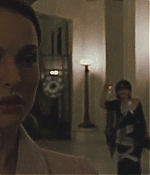 blackswan_123.jpg