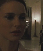 blackswan_126.jpg