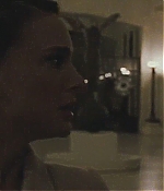 blackswan_131.jpg