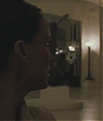 blackswan_132.jpg