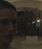 blackswan_133.jpg