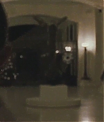 blackswan_134.jpg