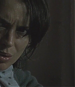 blackswan_142.jpg