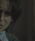 blackswan_143.jpg