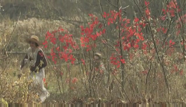TheLoisWilsonStory-Featurette_001.jpg TheLoisWilsonStory-Featurette_001.jpg