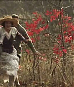 loiswilson-fulltrailer_001.jpg