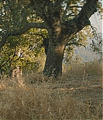 WF-DW176.jpg