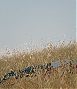 WF-DW183.jpg