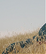WF-DW199.jpg