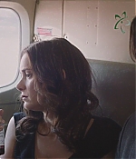 WF-DW393.jpg