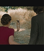 WF-DestinationWeddingTrailer_103.jpg