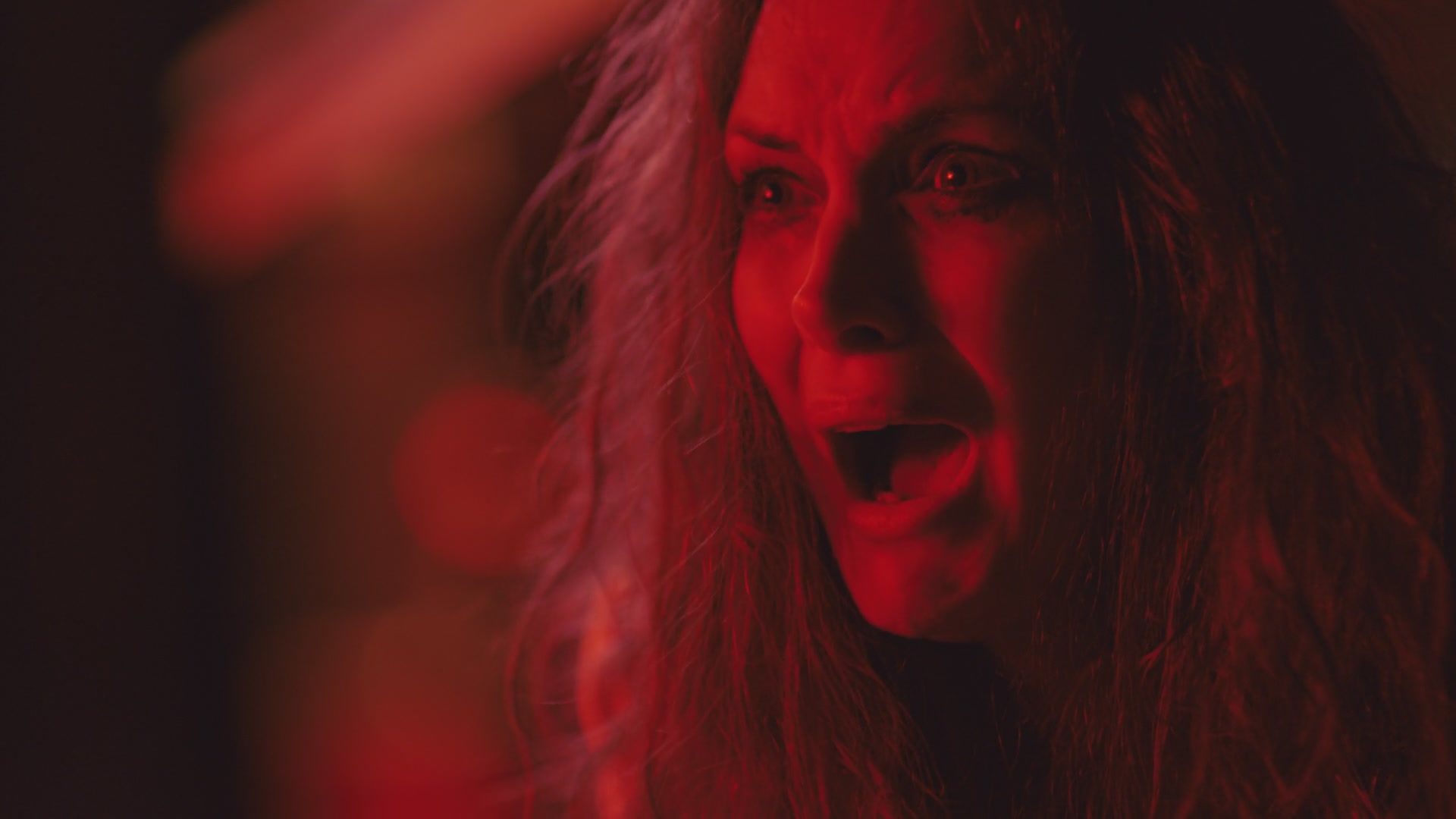 WF-SCEF031.jpg WF-SCEF031.jpg
