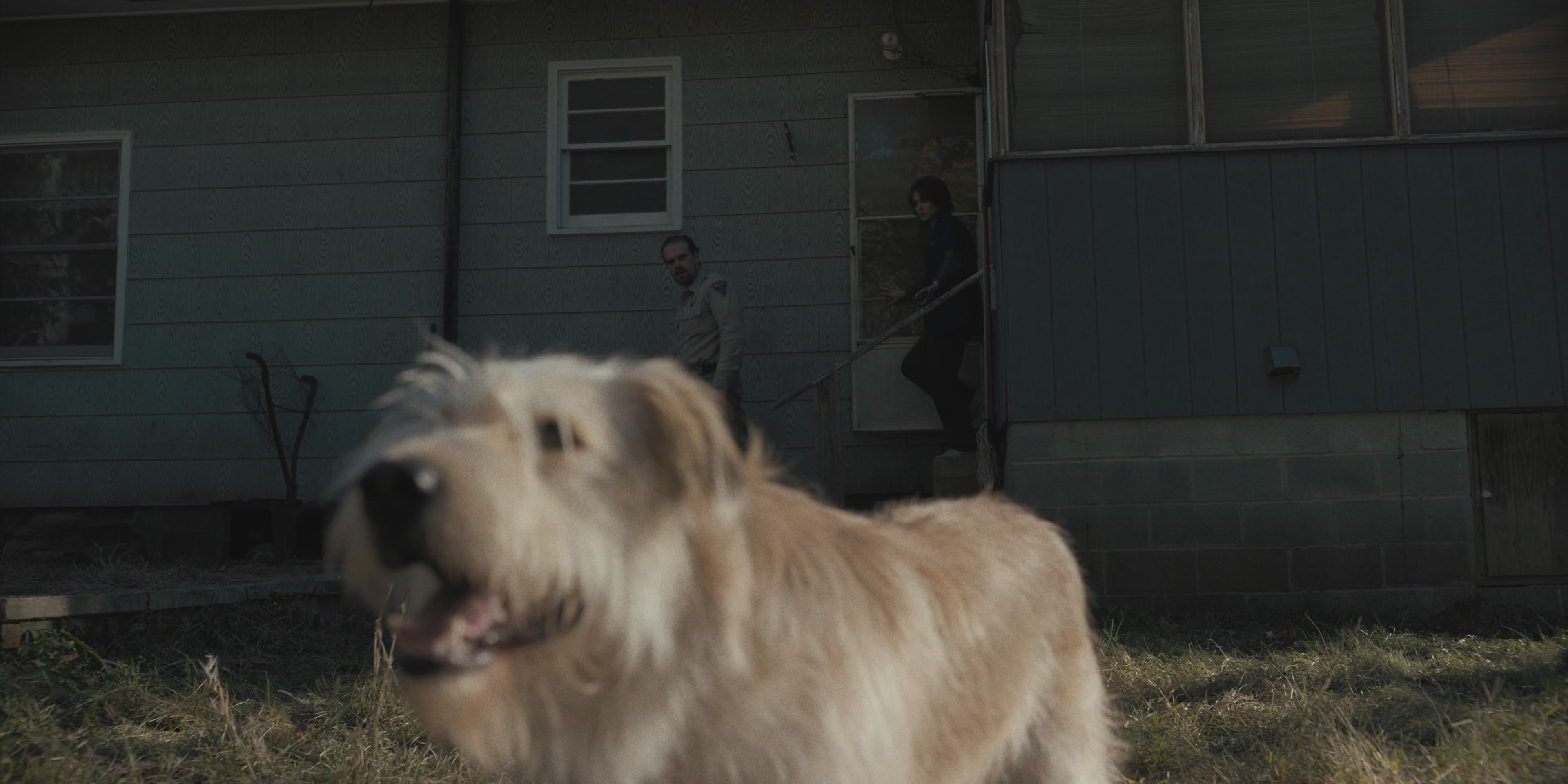 WF-StrangerThings101_217.jpg WF-StrangerThings101_217.jpg