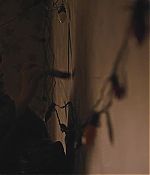 WF-StrangerThings103_336.jpg