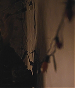 WF-StrangerThings103_339.jpg