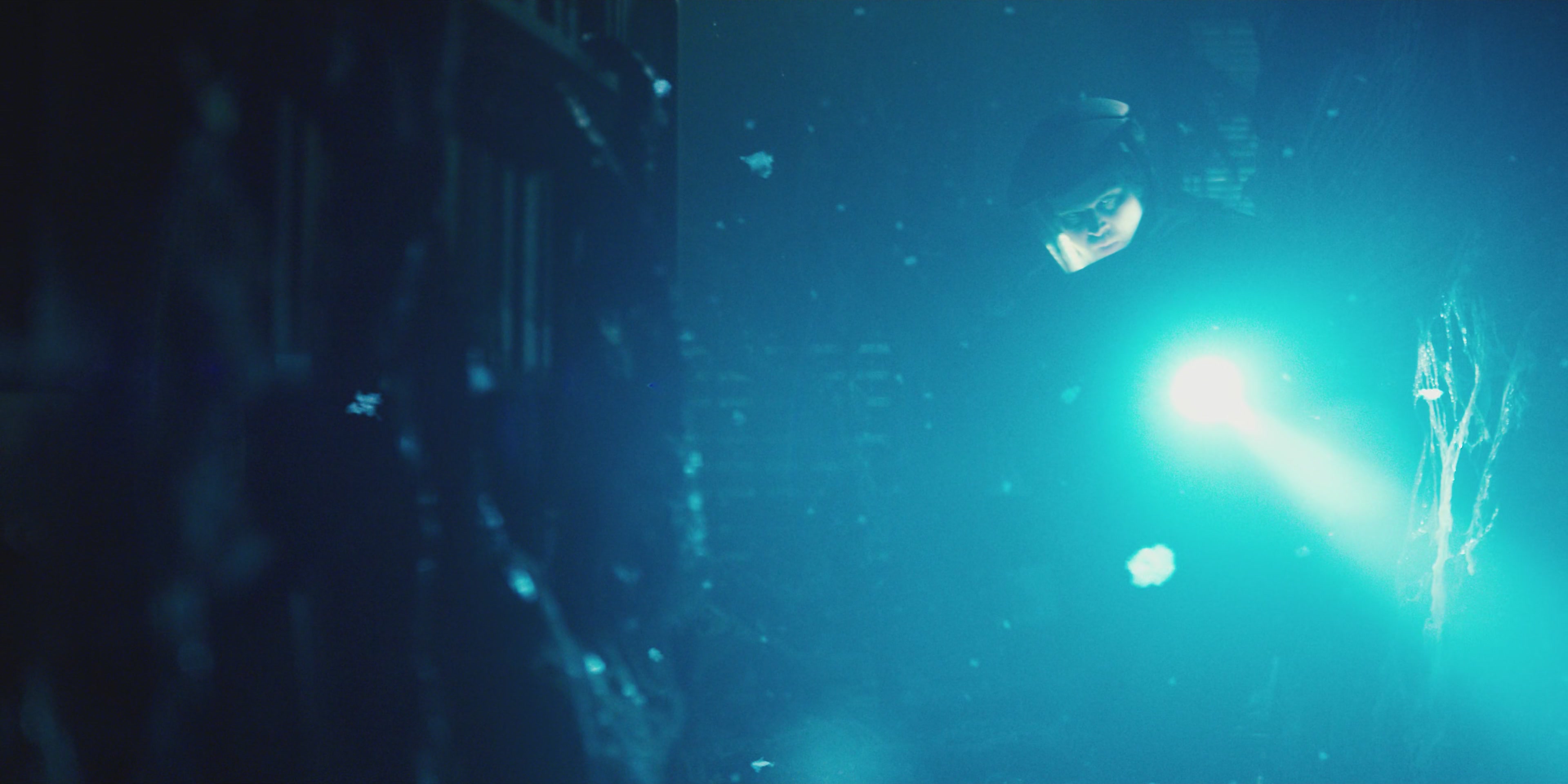 WF-StrangerThings108_173.jpg WF-StrangerThings108_173.jpg